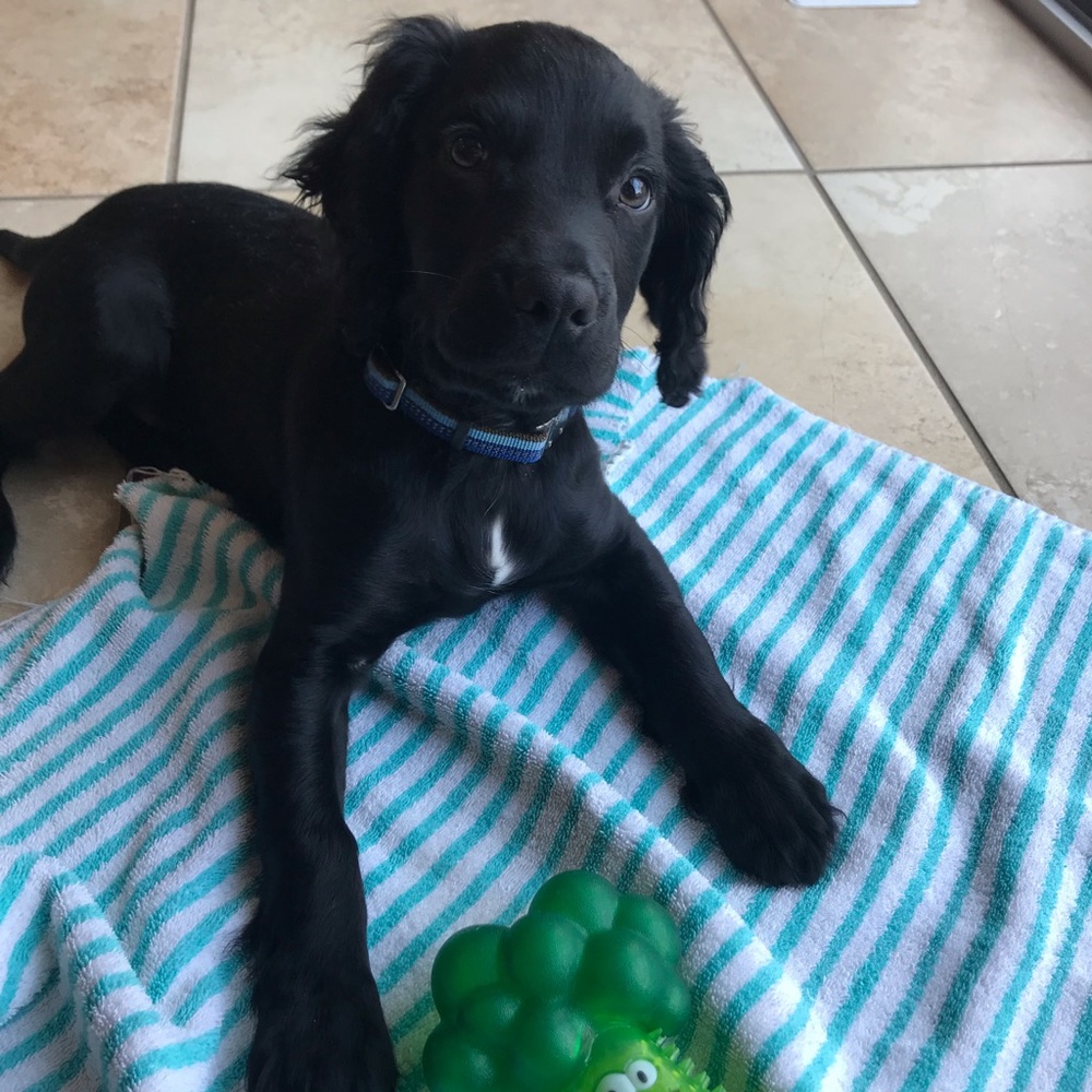 Meet your Posher, Kat